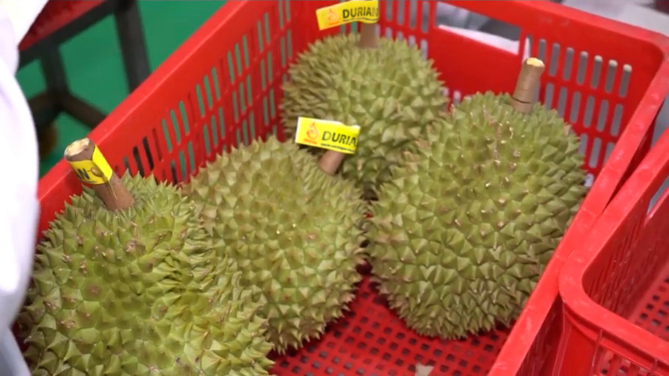 https://dragon-vietnam.com/ad9ed6dda222d2c2f501bb84b208fc82 (1)